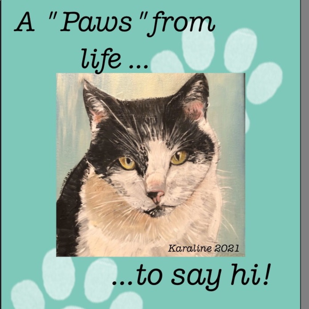 A set of two CAT notecards.